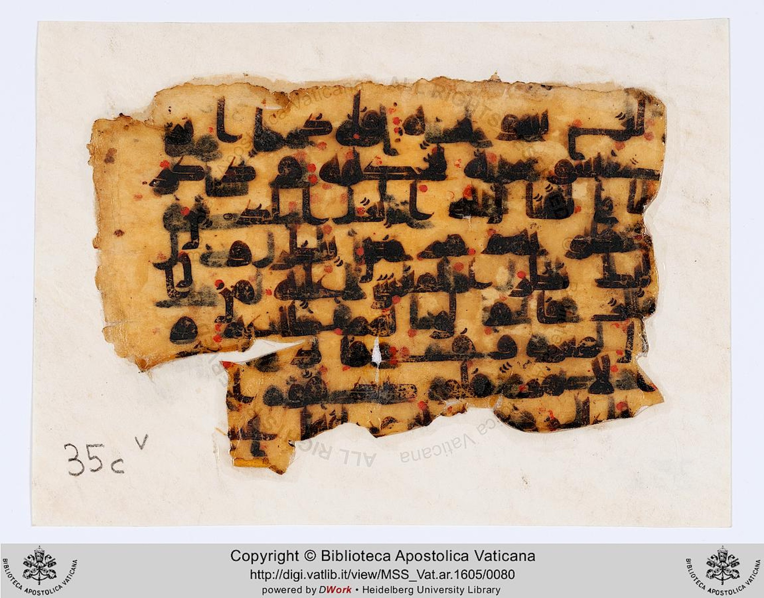 Rome, Biblioteca Apostolica Vaticana, Vat. Ar. 1605 (35), in kūfī D.IV script, showing Surah 47:21 from 8th to 9th Century AD found in Fustat (Old Cairo), Egypt, currently housed at Biblioteca Apostolica Vaticana, Rome